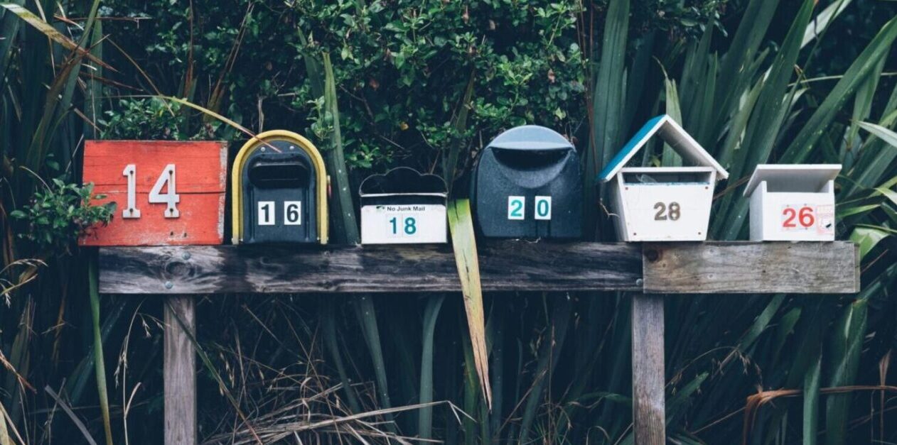 ענבל רבוח יצירת קשר